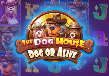 Игра The Dog House Dog Or Alive в Win777 Casino